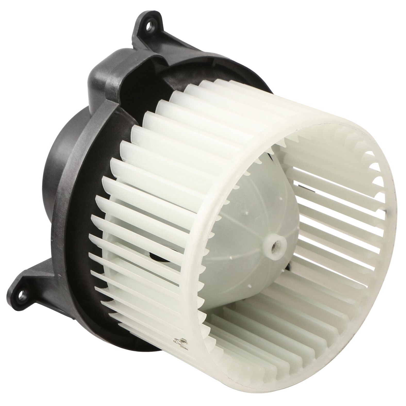 Heater Blower Motor W/ Fan Cage