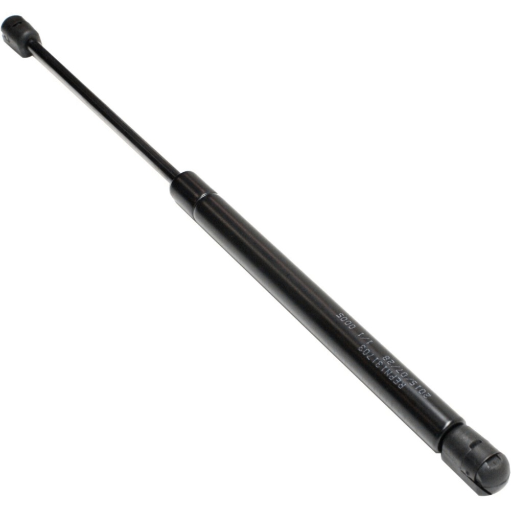 40 PCS - Lift Support For 03-07 Nissan Murano Set Hood (Left And Right)