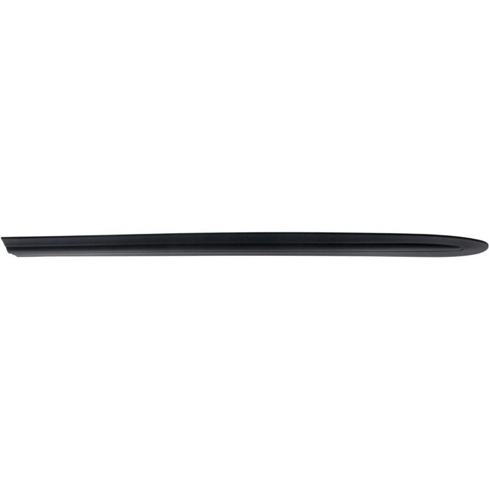 Door Molding And Beltlines For 03 Town & Country 03 Grand Caravan Rear Driver