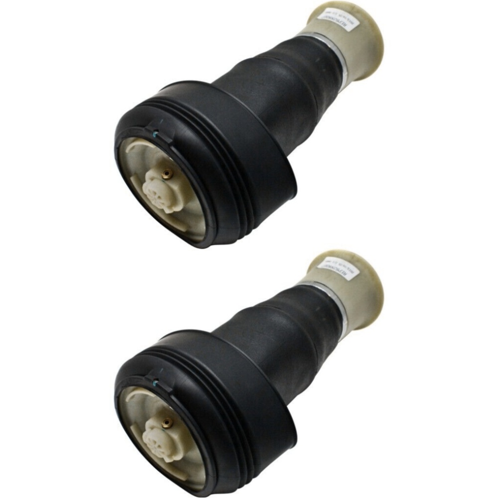 Set Of 2 Pack Air Springs Rear Driver & Passenger Side Left Right E70 X5 Series