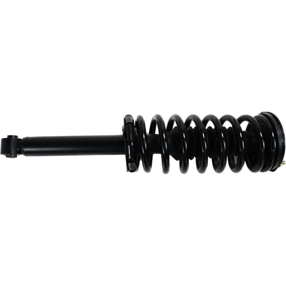 2pc Rear Loaded Strut Assembly For 1995-1999 Nissan Maxima Sedan
