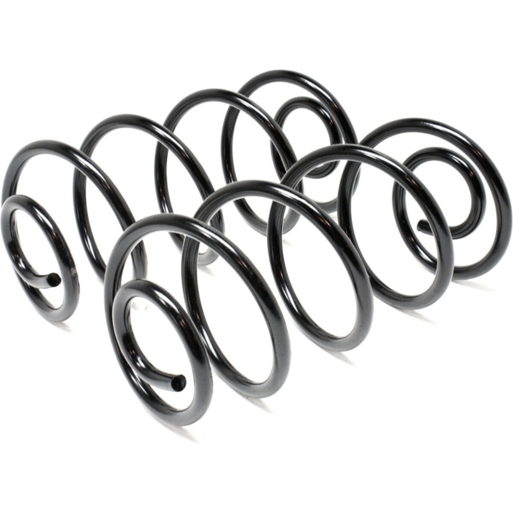Coil Springs Set Of 2 Rear For Buick Chevrolet GMC Oldsmobile Pontiac Pair