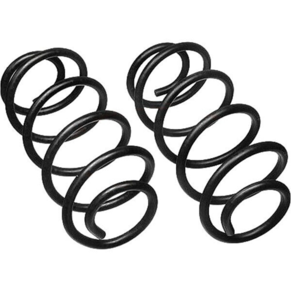 Set Of 2 Coil Springs Rear For Buick Chevrolet GMC Isuzu Oldsmobile Pair