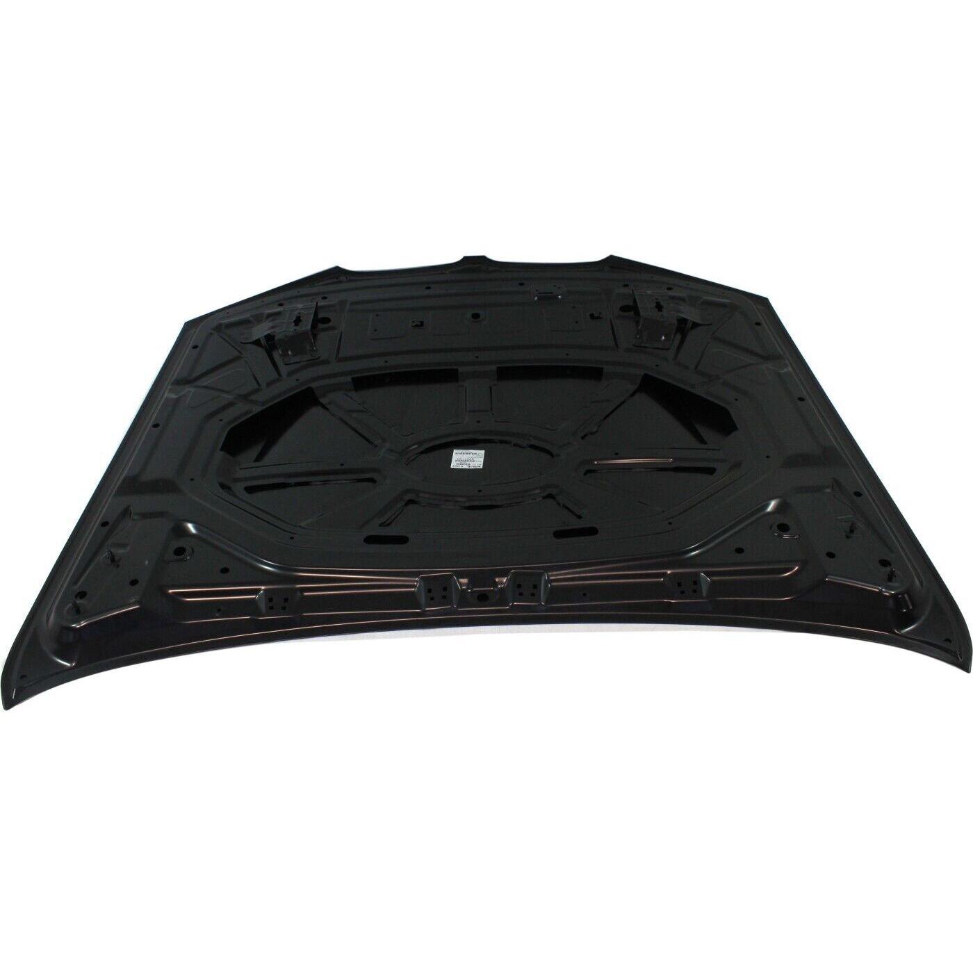 For 15-17 BMW X3 XDrive28i X Line Sport Utility 41617267337 Bm1230135C Hood