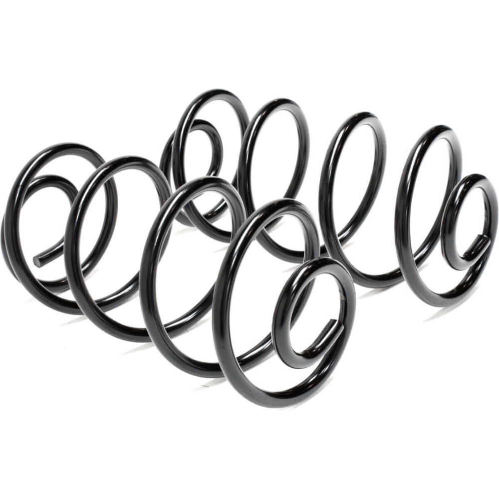 Coil Springs Set Of 2 Rear For Buick Chevrolet GMC Oldsmobile Pontiac Pair