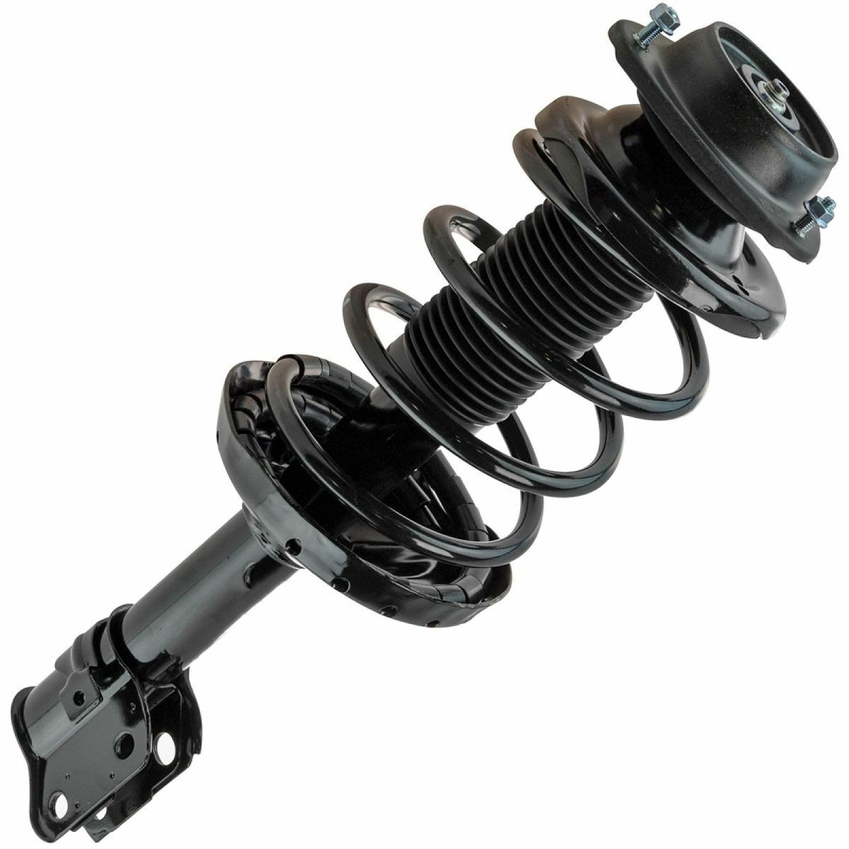 Complete Loaded Strut Spring Assembly Front & Rear Kit 4pc For 06-08 Forester