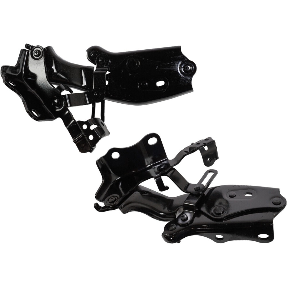 Set Of 2 Hood Hinges Driver & Passenger Side Left Right For ES300h ES350 Pair