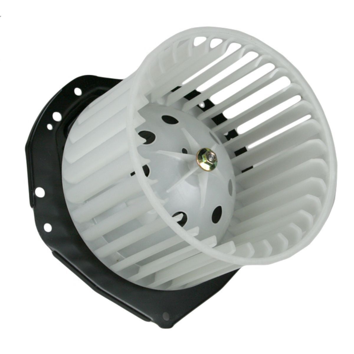Heater Blower Motor W/ Fan Cage For Buick Chevy GMC Isuzu Olds Pontiac Truck