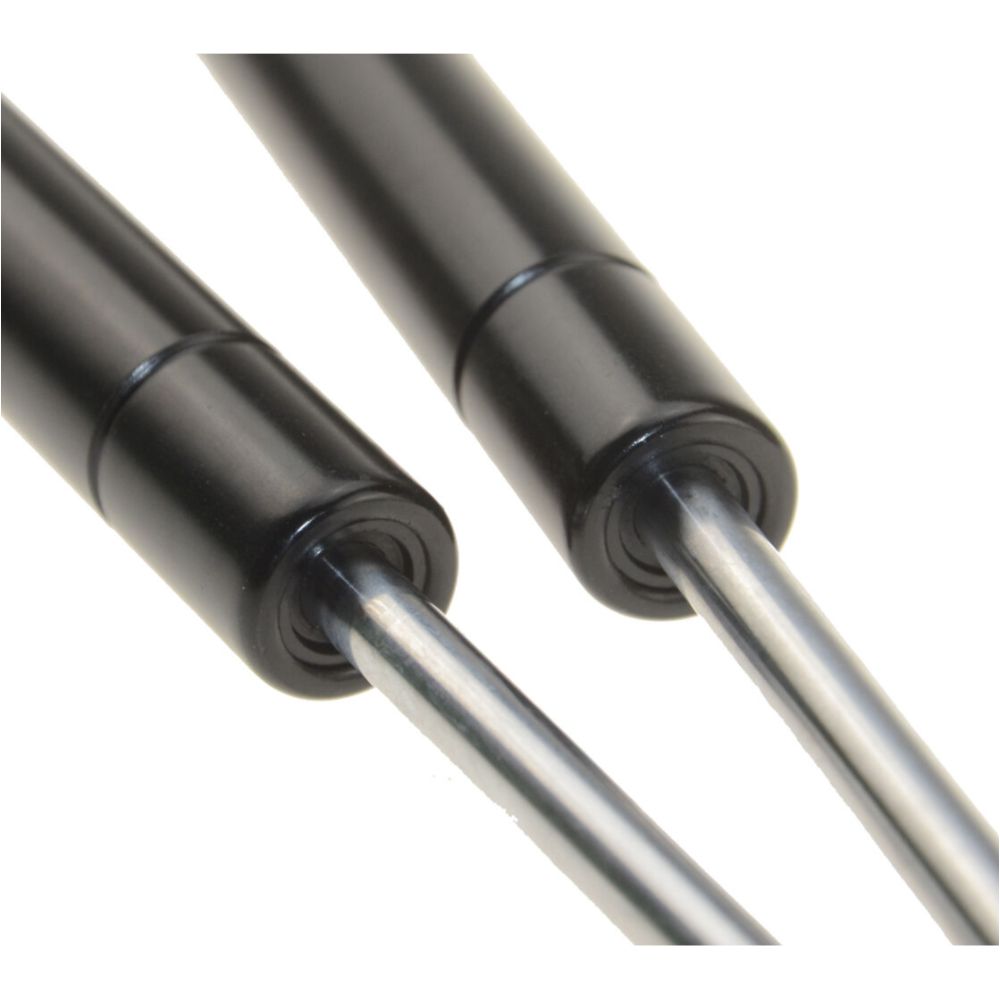 2x Hood Lift Supports Shock Struts For Chrysler 99-04 300M Dodge 98-04 Intrepid