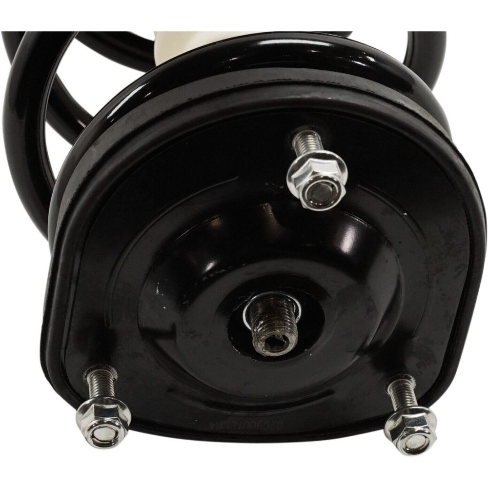 Set Of 2 Shock Absorbers And Strut Assembly Rear Driver & Passenger Side Pair