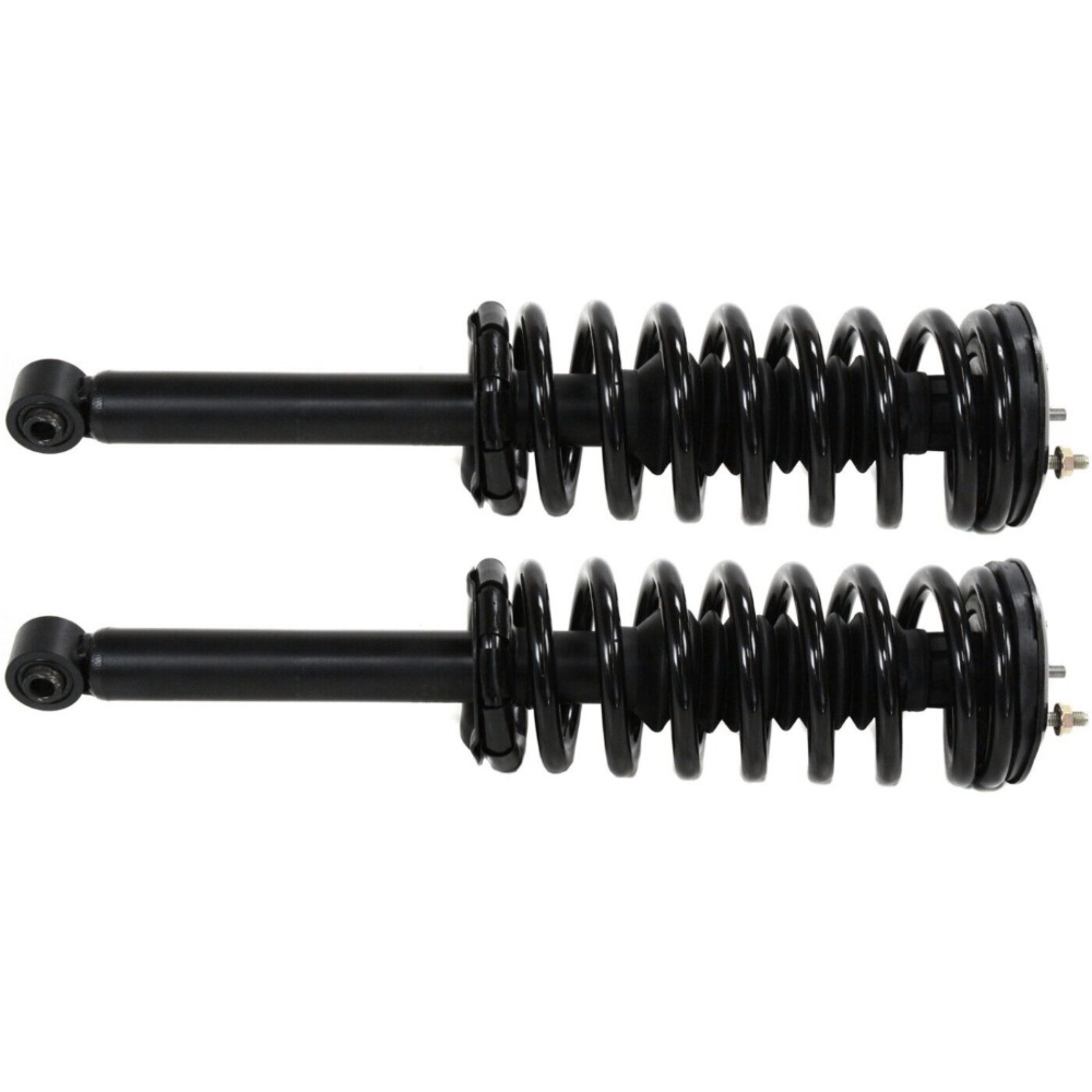 2pc Rear Loaded Strut Assembly For 1995-1999 Nissan Maxima Sedan