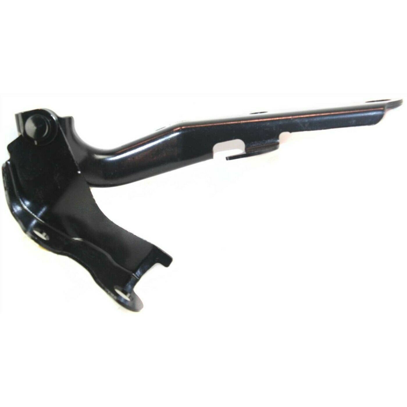 For 1999-2009 Lexus Toyota Set Of 2 Hood Hinges Driver & Passenger Side Pair