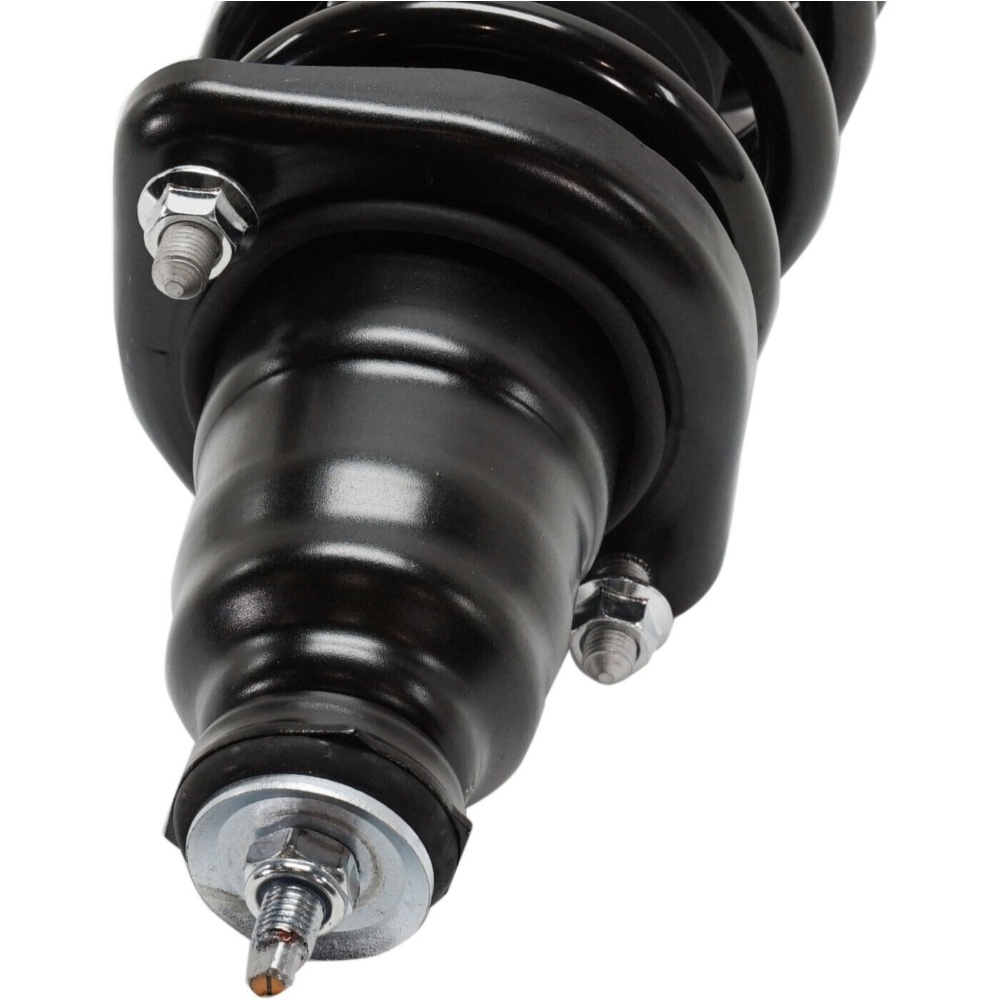 Shock Absorbers And Strut Assembly Set Of 2 Rear Driver & Passenger Side Pair