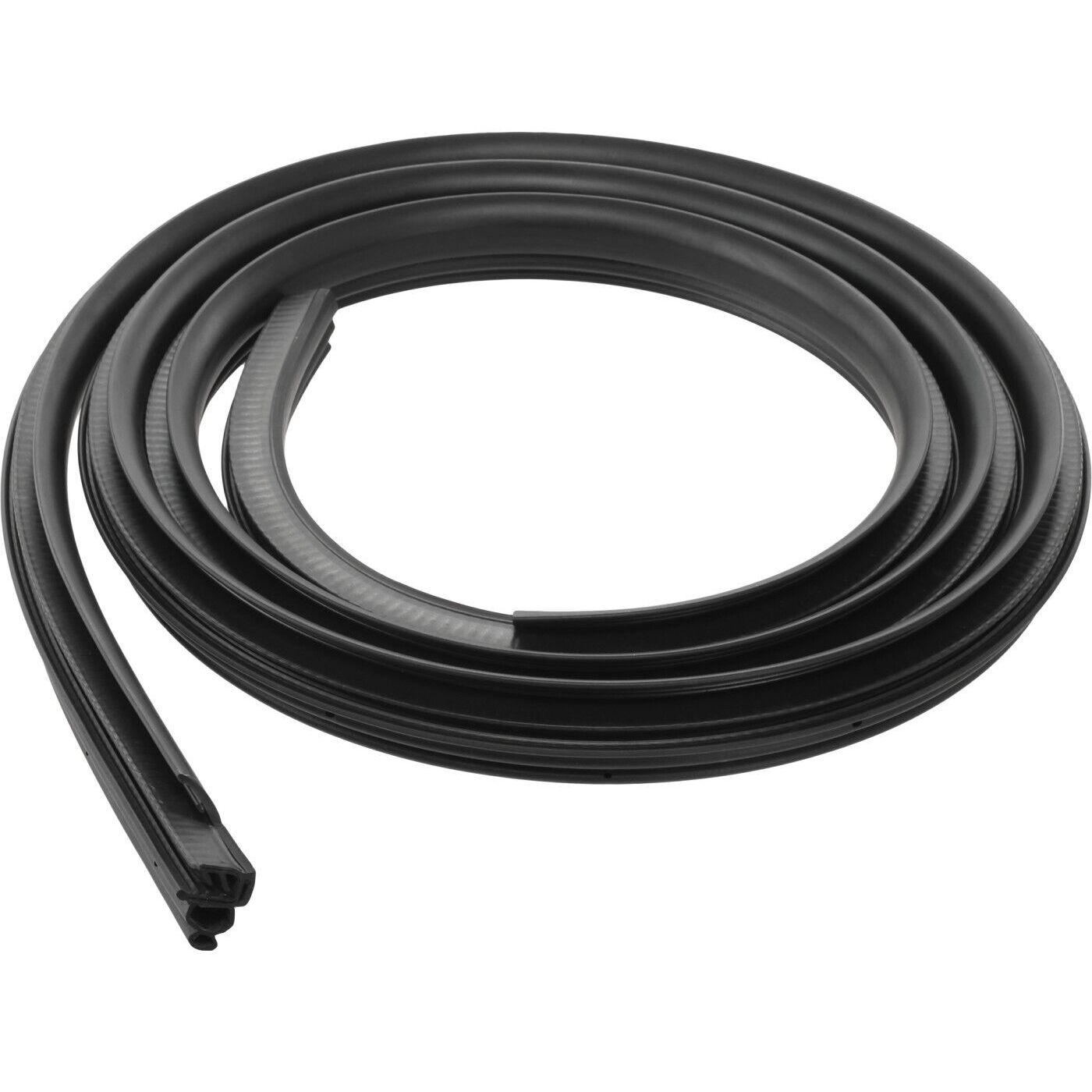 Weatherstrip Seals Rear Driver Left Side For 08 F-150 XL Crew Cab Pickup Hand